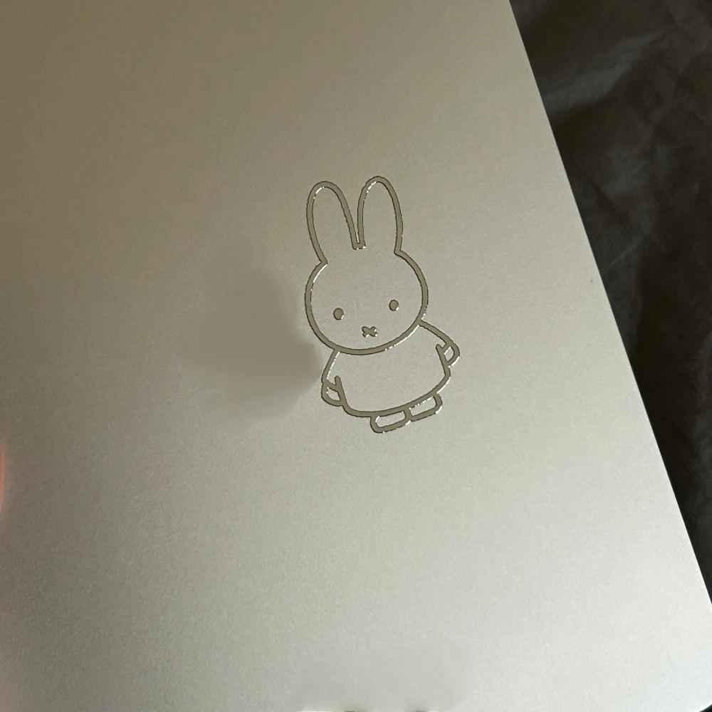 Miffy Rabbit  metal stickers h - Fire Tablet Accessories 评论和价格